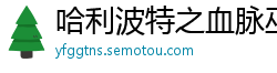 哈利波特之血脉巫师纯洁小天使